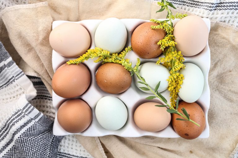 Home-made egg food for your birds