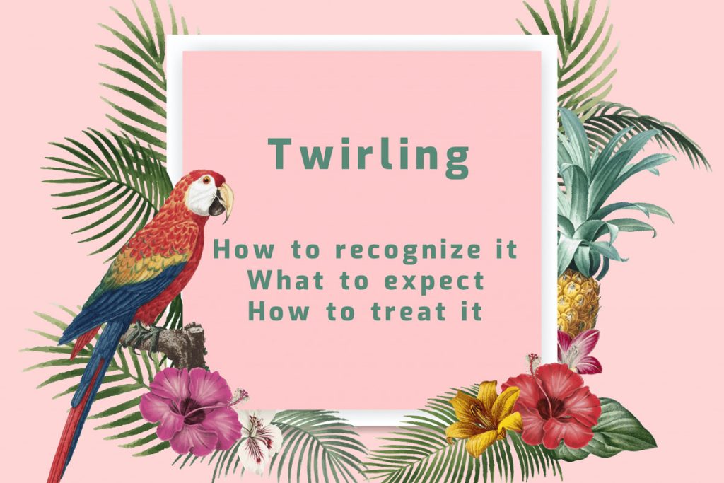 When your Finch’s Neck is Twisted (Twirling Syndrome)