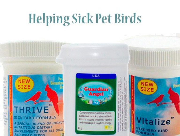 Can I help my sick bird?